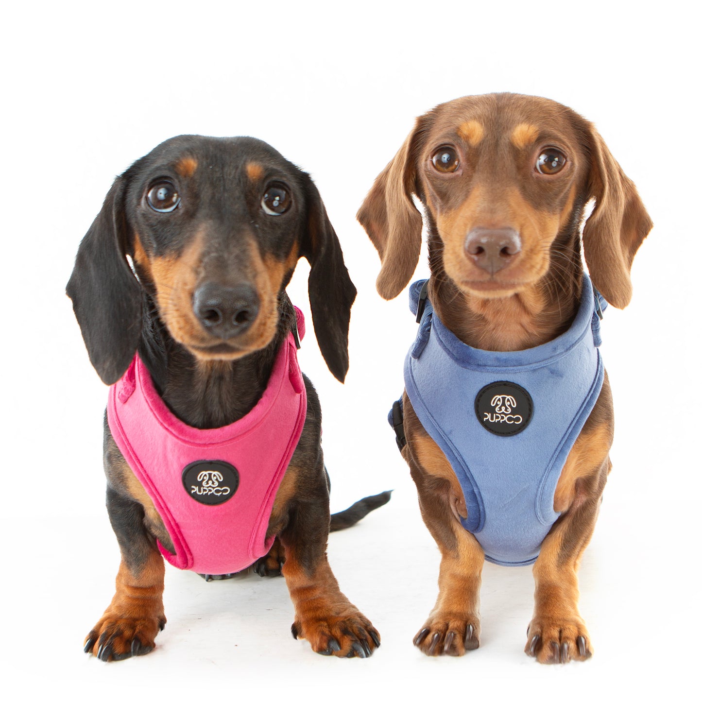 Pink Velvet Harness Bundle