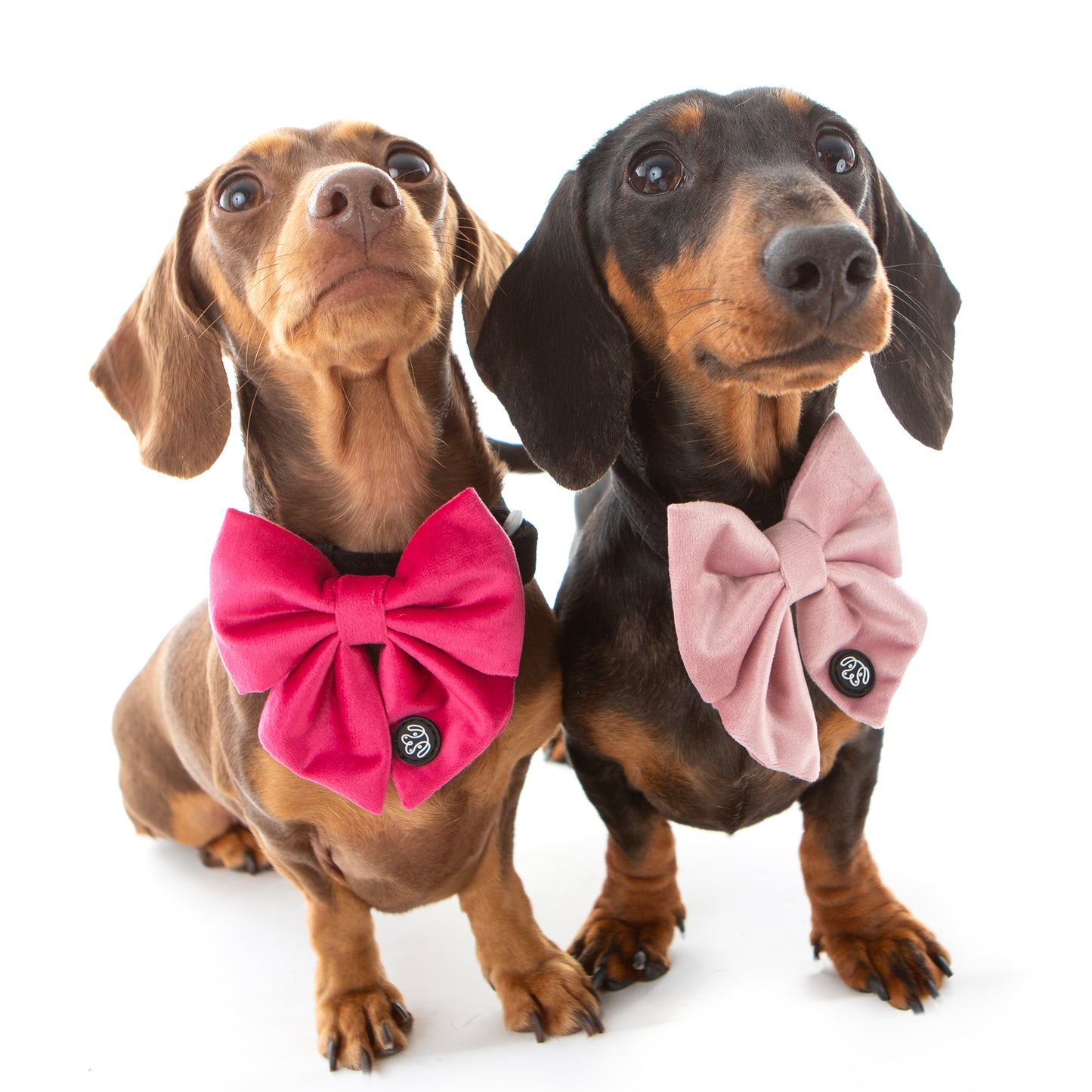 Pink Velvet Sailor Bow