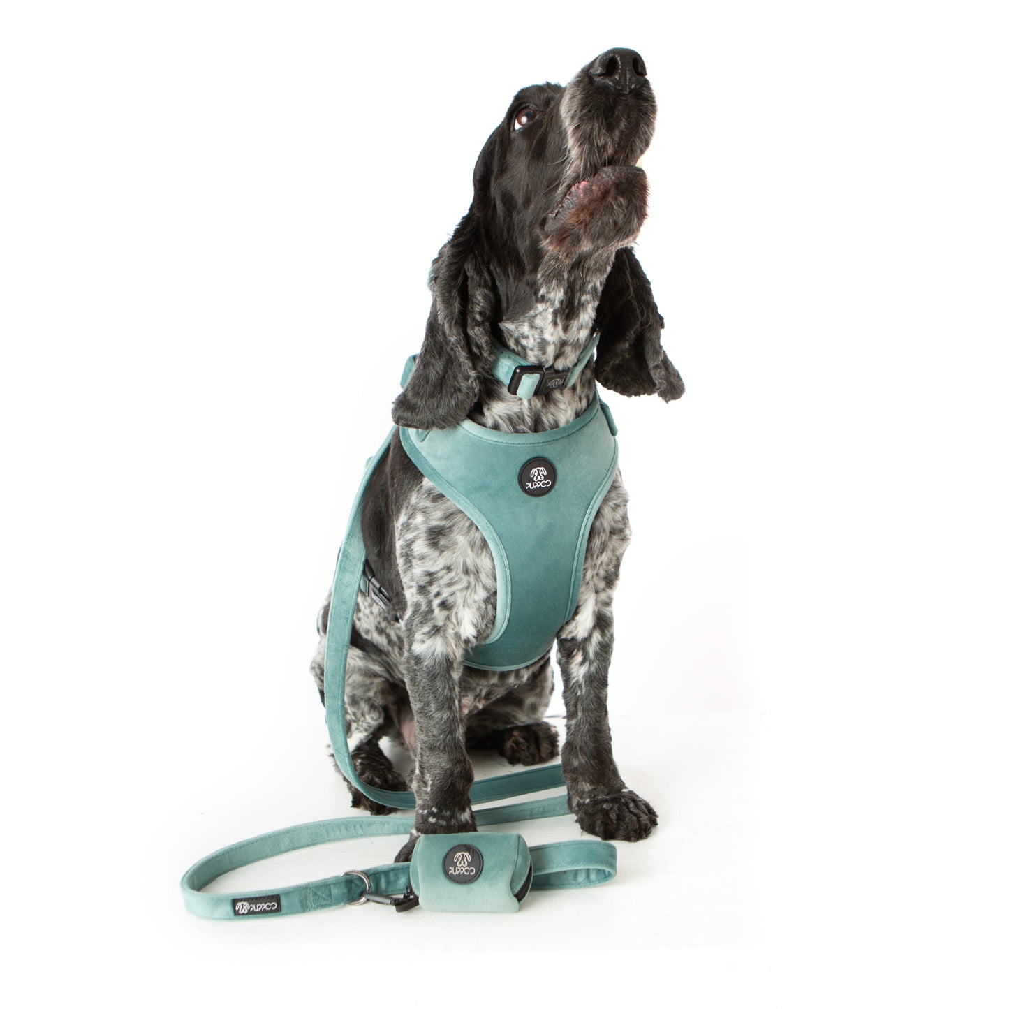 Teal Velvet Harness Bundle