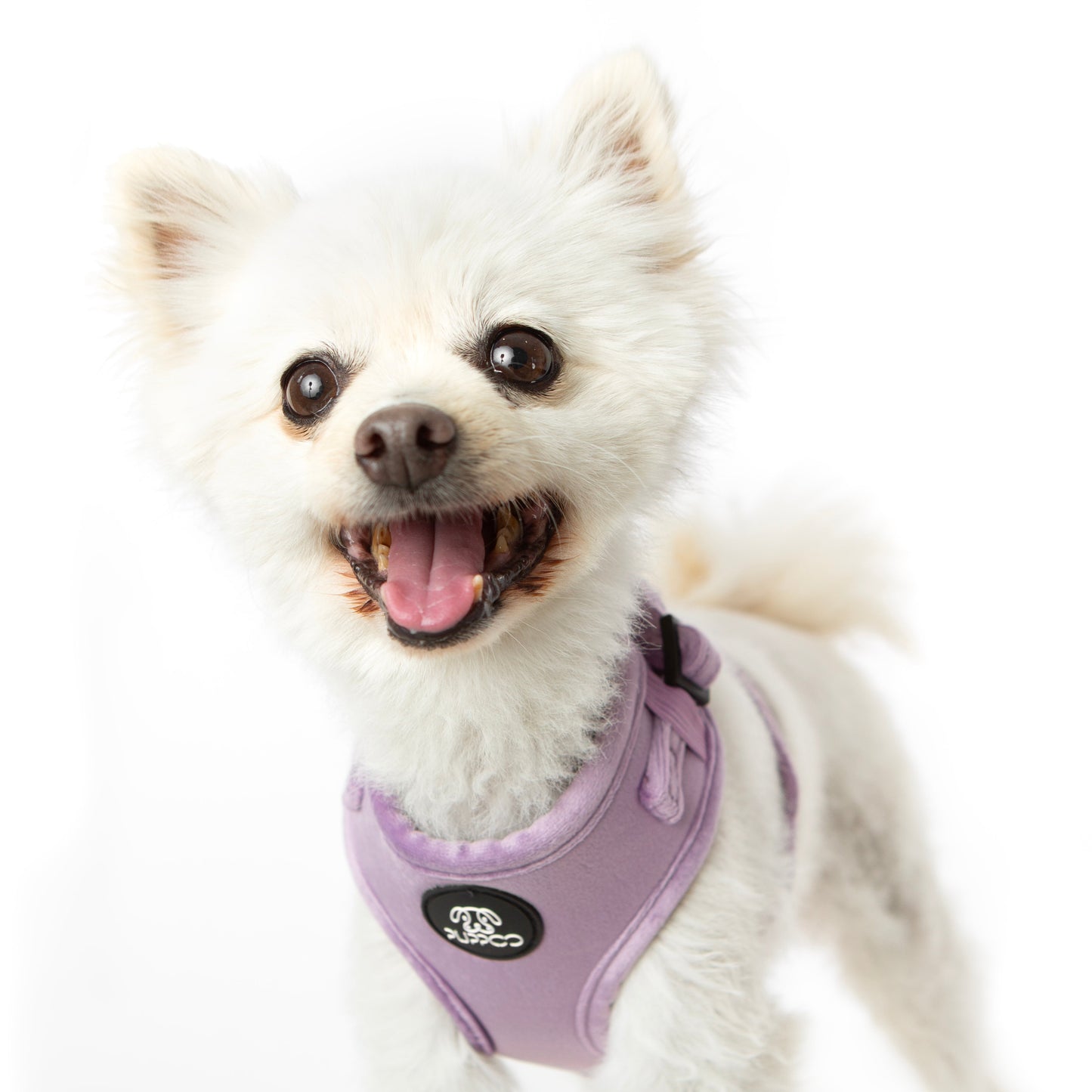 Lilac Velvet Harness