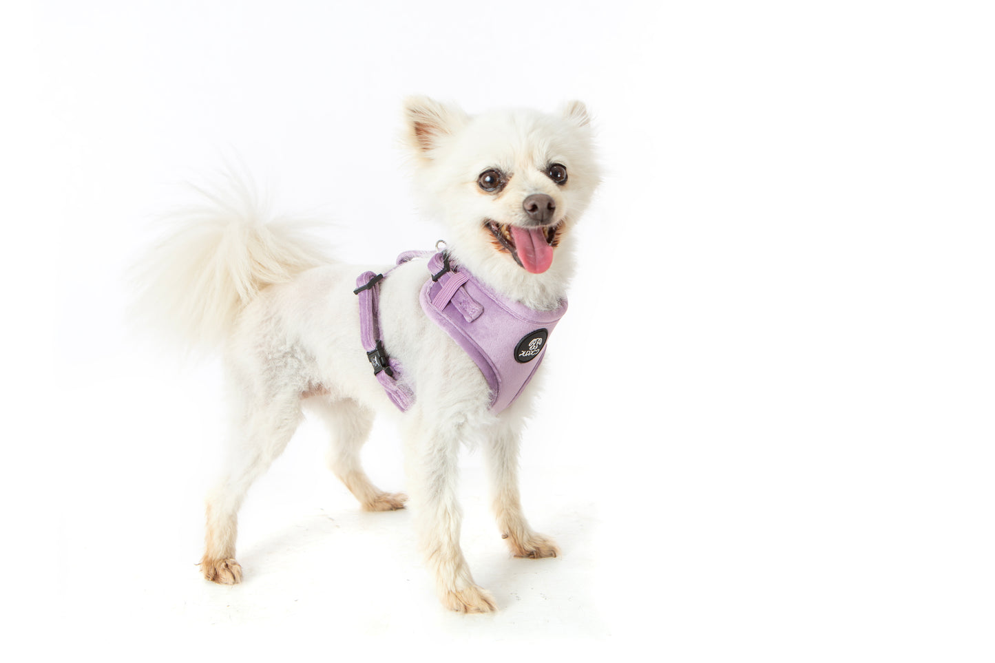 Lilac Velvet Harness