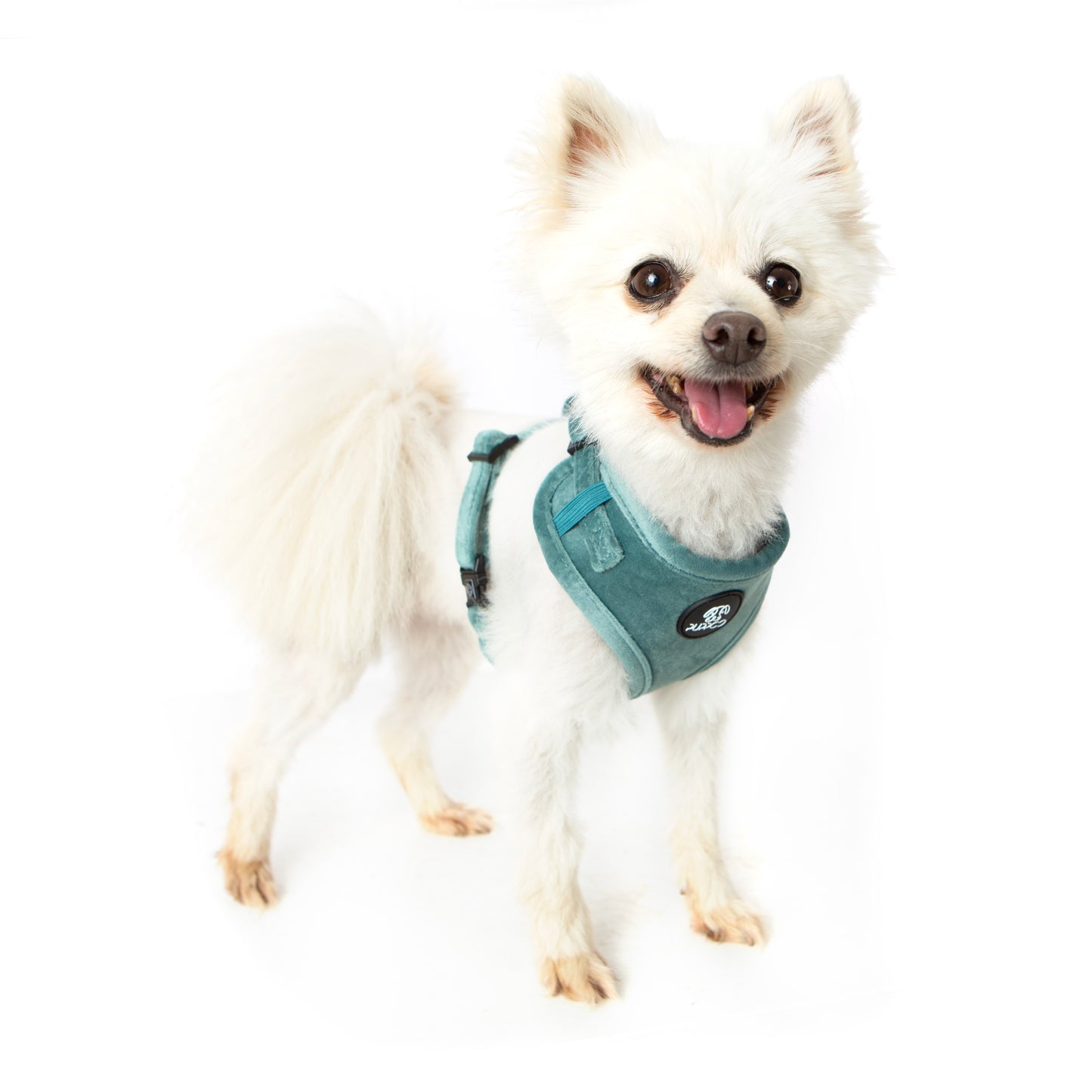 Teal Velvet Harness