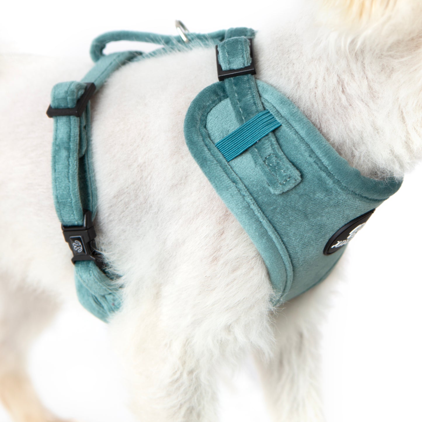 Teal Velvet Harness