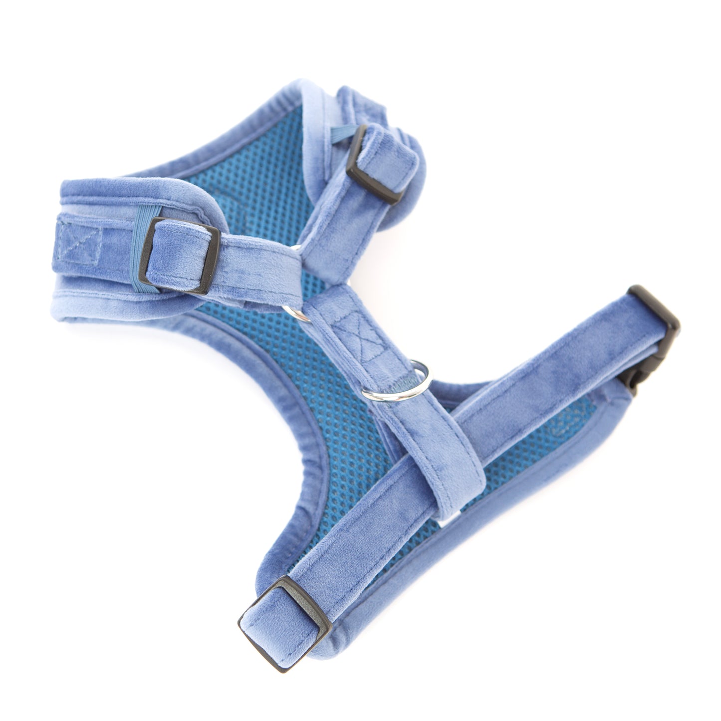 Steel Blue Velvet Harness