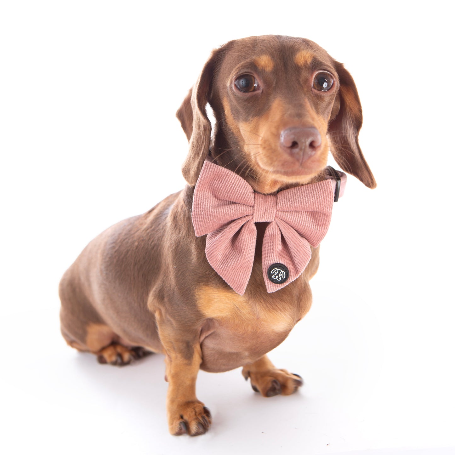 *NEW*  Soft Pink Corduroy Sailor Bow