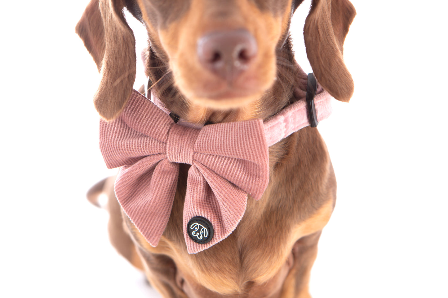 *NEW*  Soft Pink Corduroy Sailor Bow