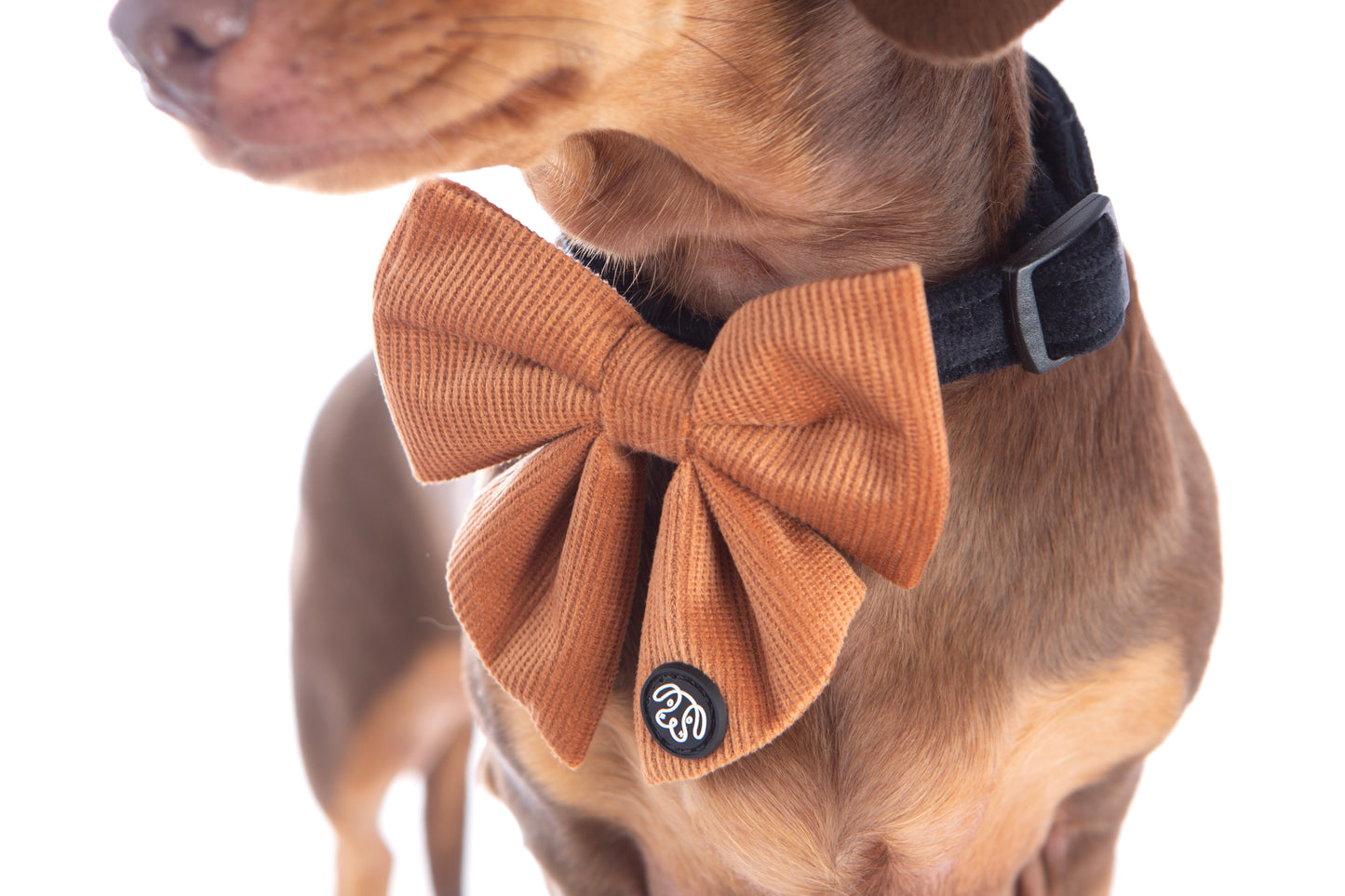*NEW* Chocolate Corduroy Sailor Bow