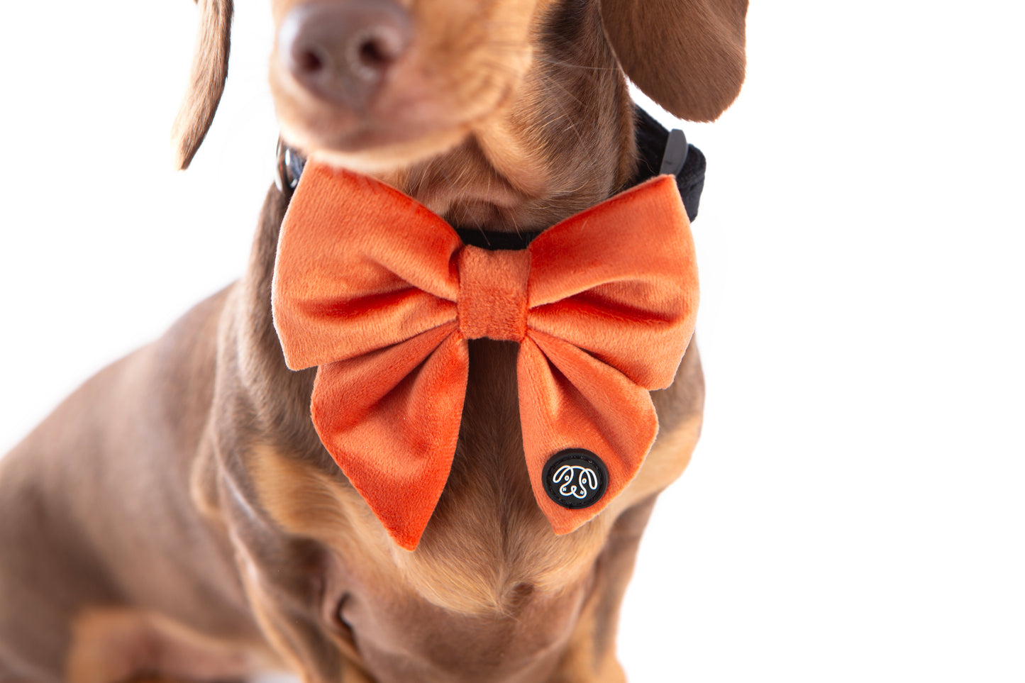 *NEW* Peach Velvet Sailor Bow