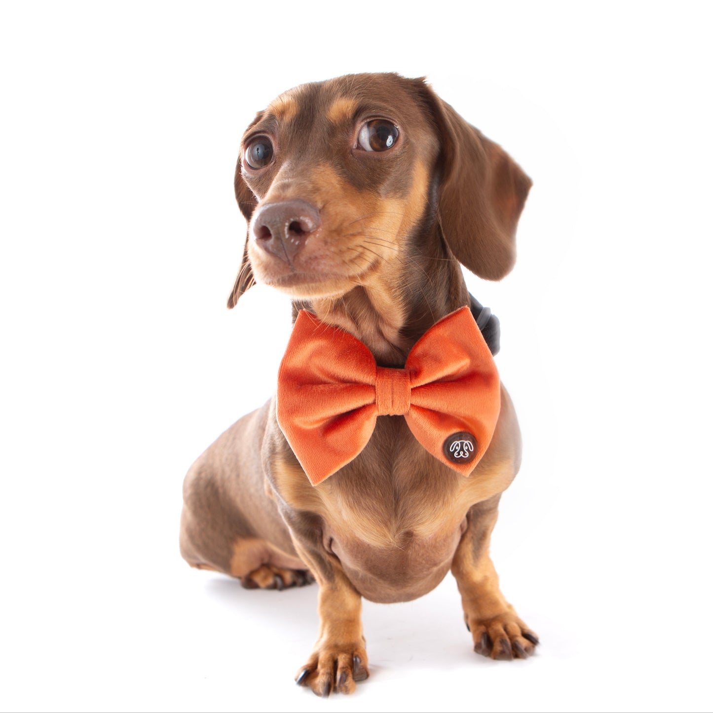 *NEW* Peach Velvet Bow Tie