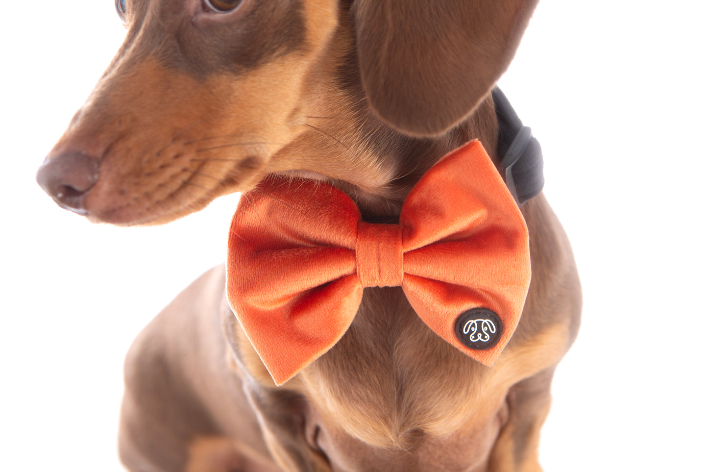*NEW* Peach Velvet Bow Tie