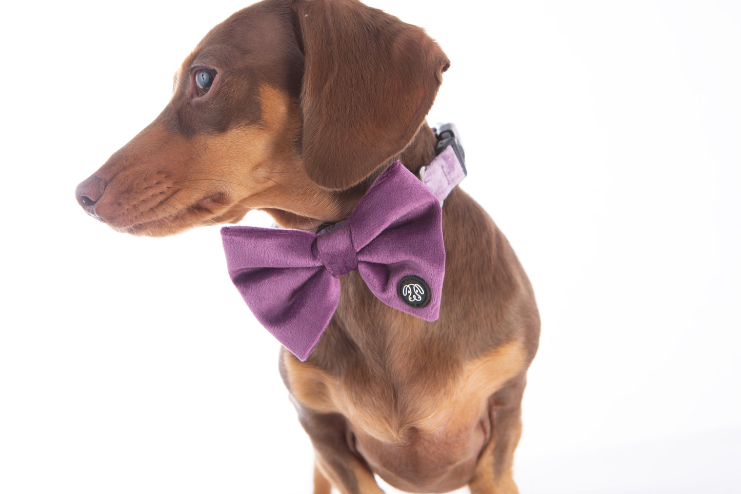 *NEW* Grape Velvet Bow Tie