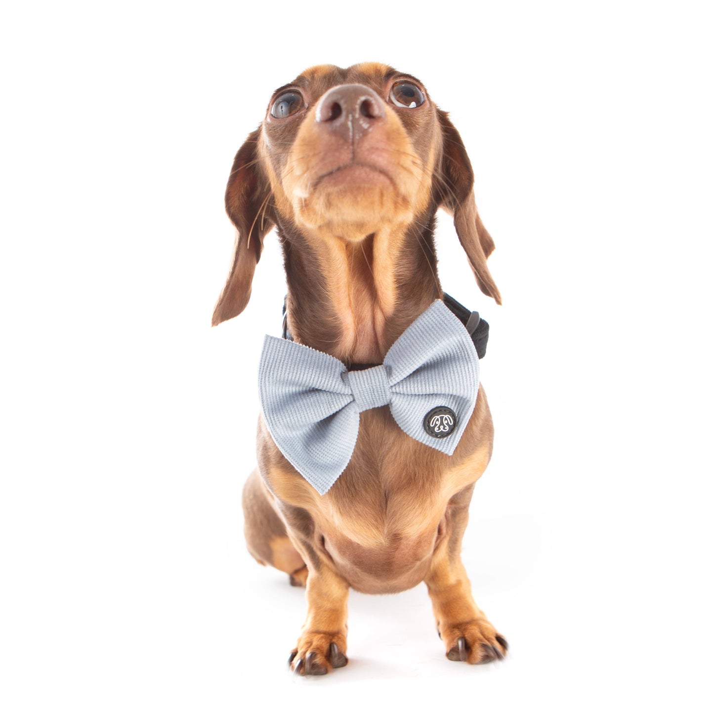 *NEW* Soft Blue Corduroy Bow Tie