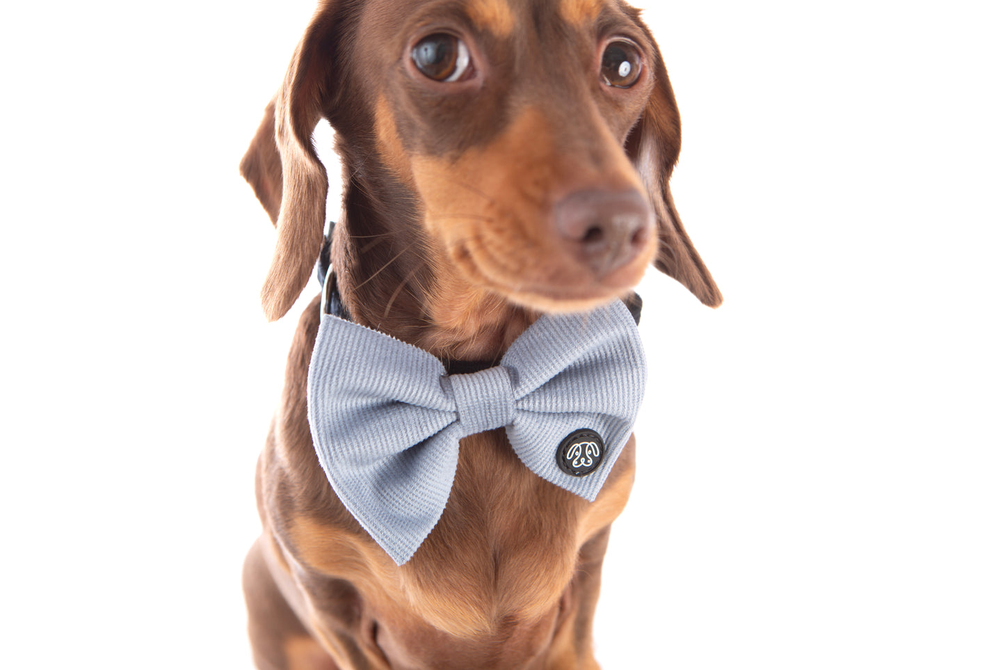 *NEW* Soft Blue Corduroy Bow Tie
