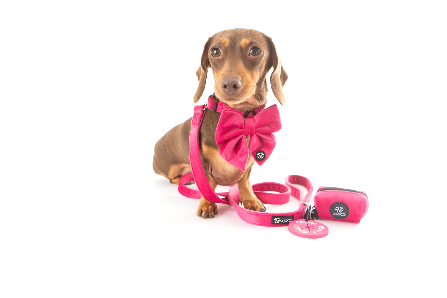 Pink Collar Bundle