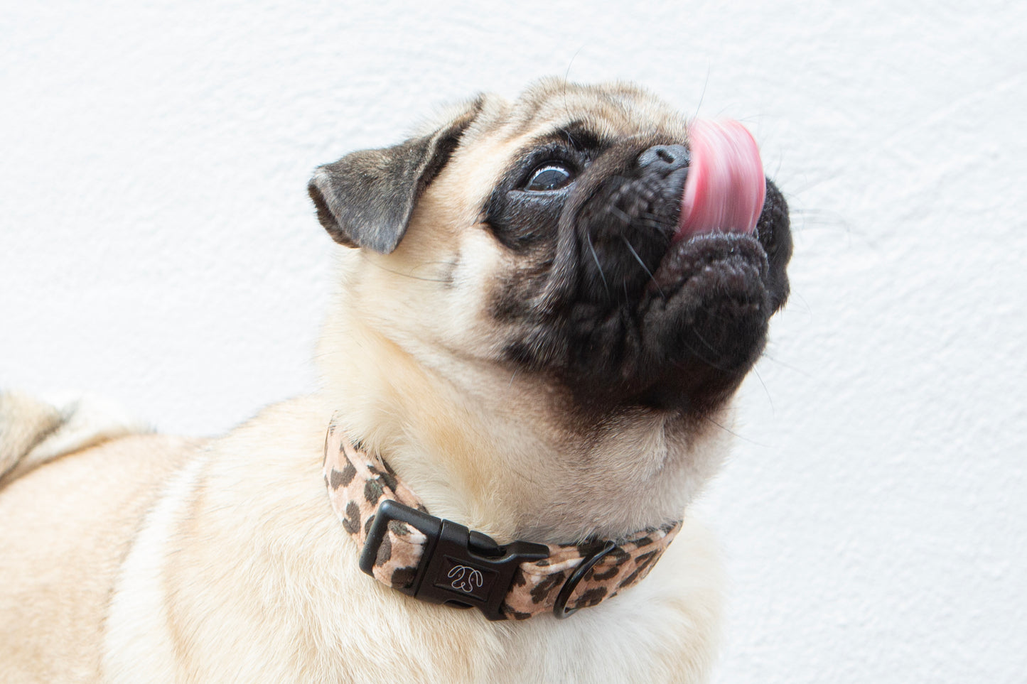Jungle Velvet Collar