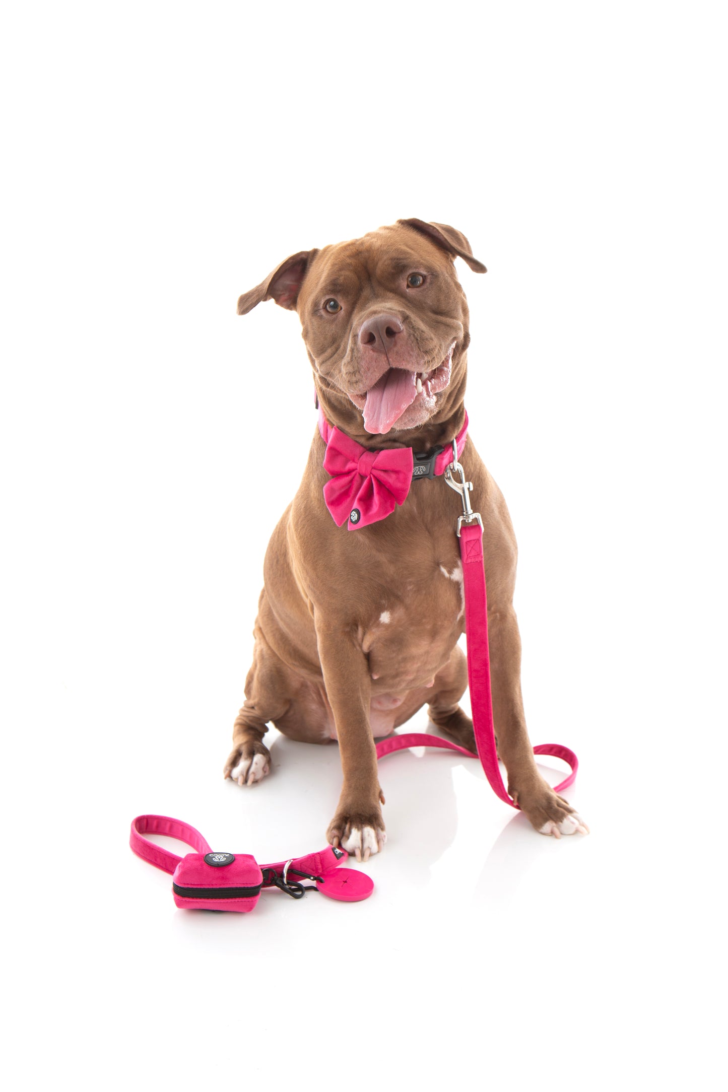 Pink Collar Bundle