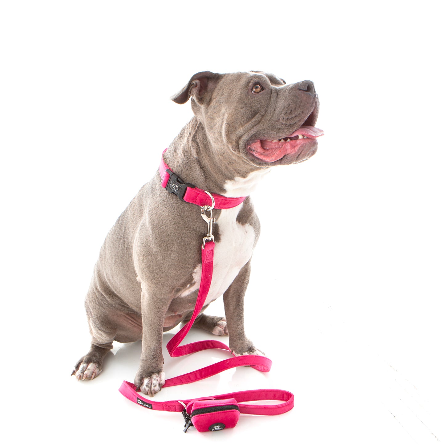 SALE! 25% OFF! Velvet Deluxe Lead PINK