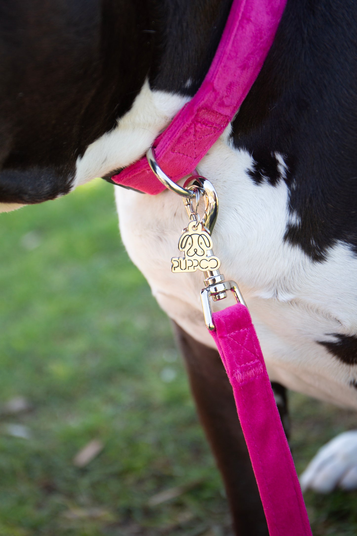 PuppCo Branded Pup Charm *LIMITED EDITION