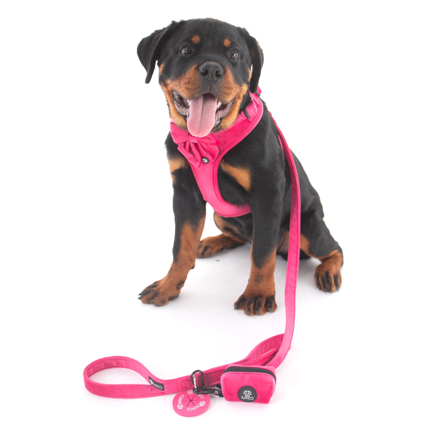 Pink Velvet Harness Bundle