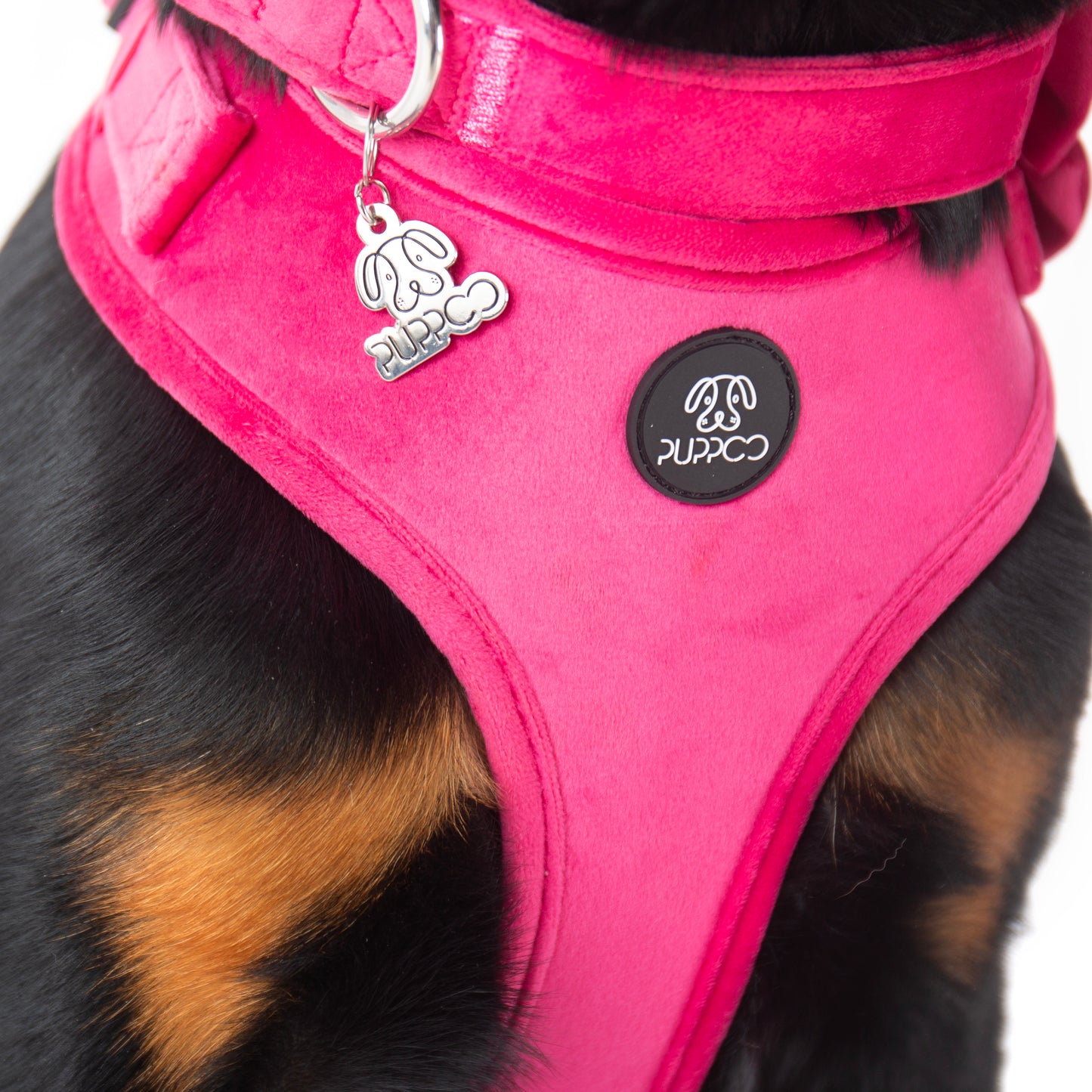 PuppCo Branded Pup Charm *LIMITED EDITION
