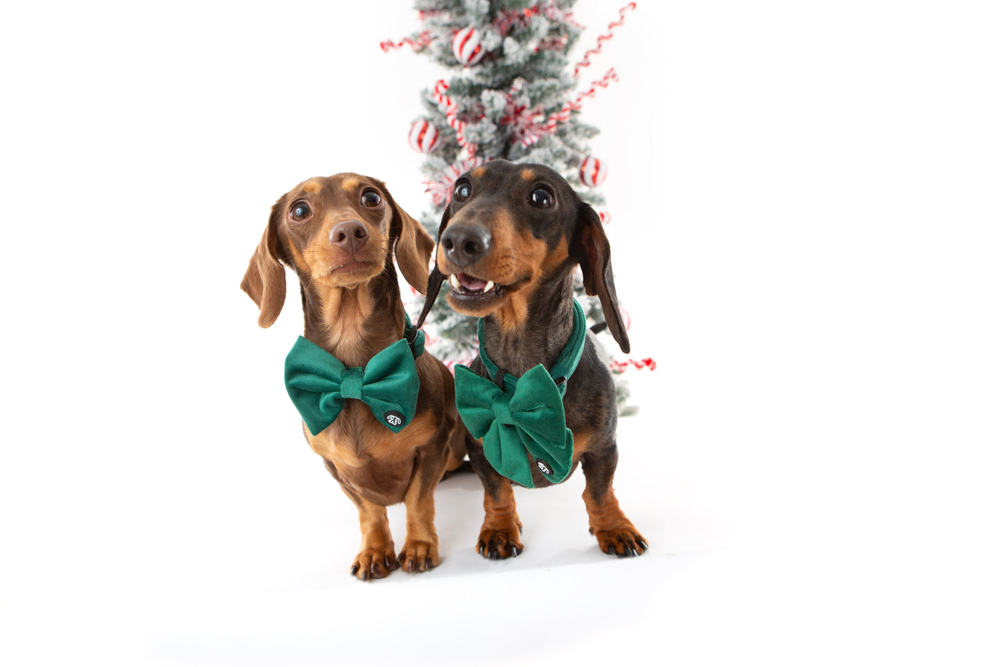 Green Velvet Bow Tie