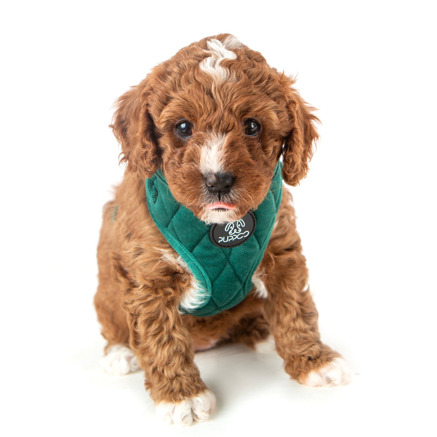 Deep Green Quilted Velvet Harness