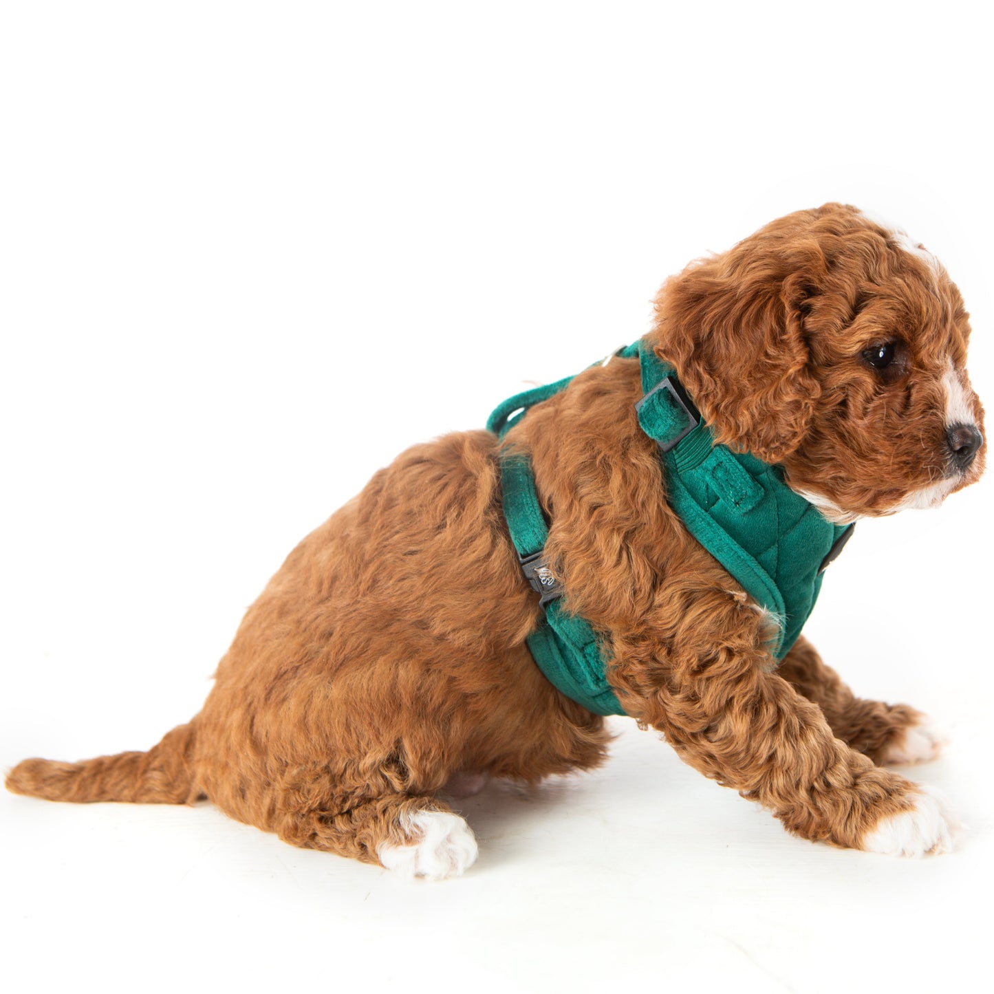 Deep Green Quilted Velvet Harness
