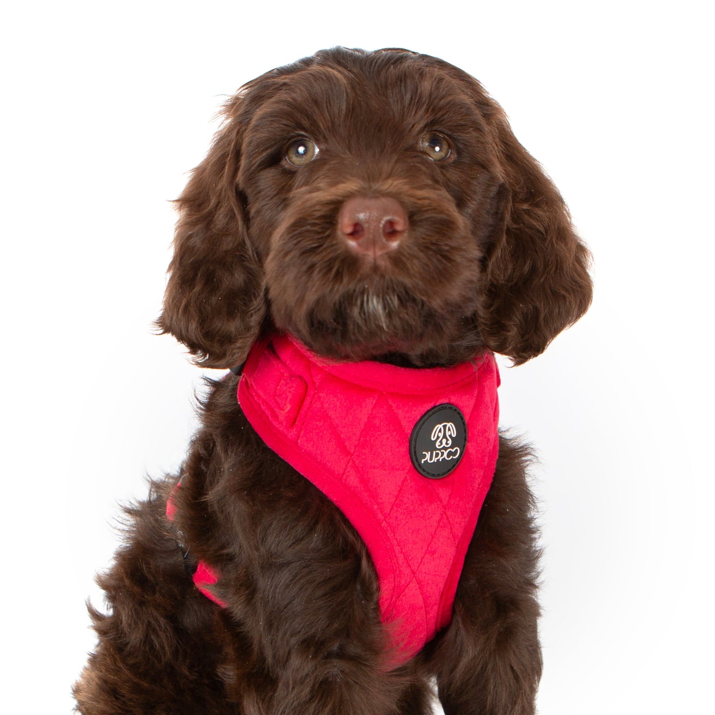 Red Quilted Velvet Harness