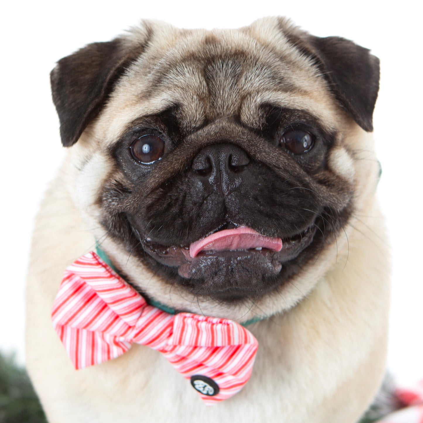 Candy Velvet Bow Tie