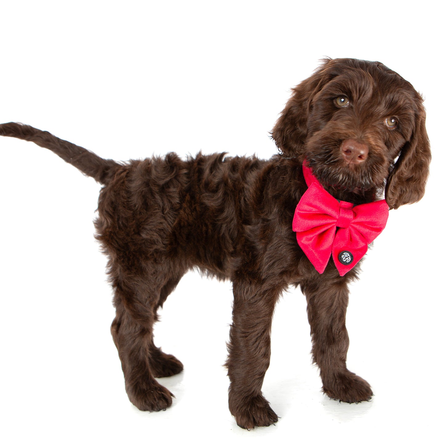 SALE! 25% OFF! Red Velvet Sailor Bow