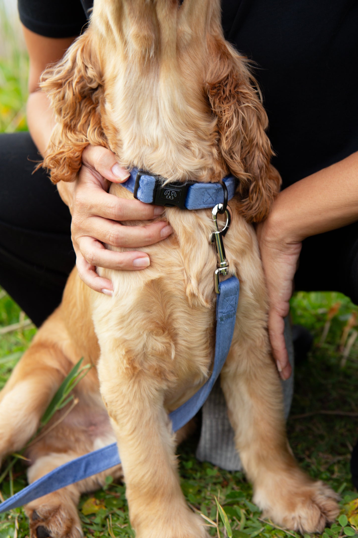 Steel Blue Velvet Collar