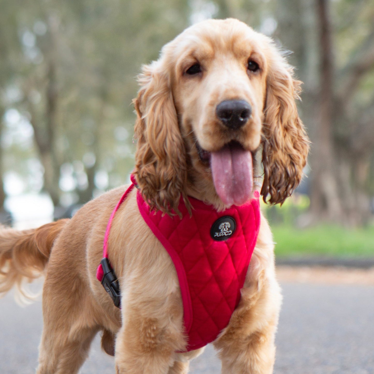Red Quilted Velvet Harness