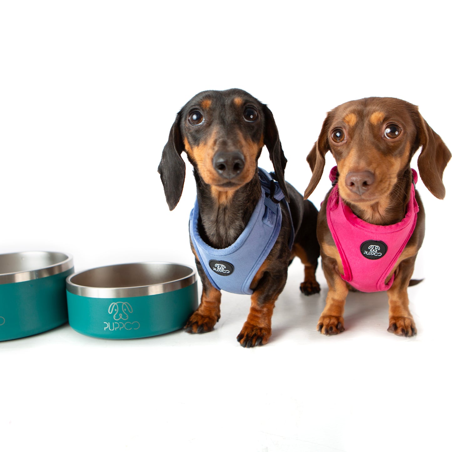 Premium PuppBowls