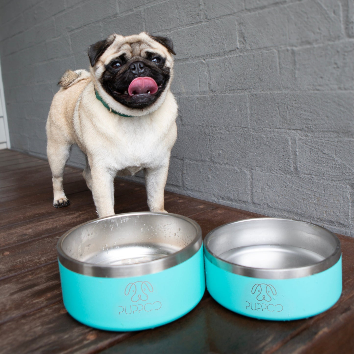 Premium PuppBowls