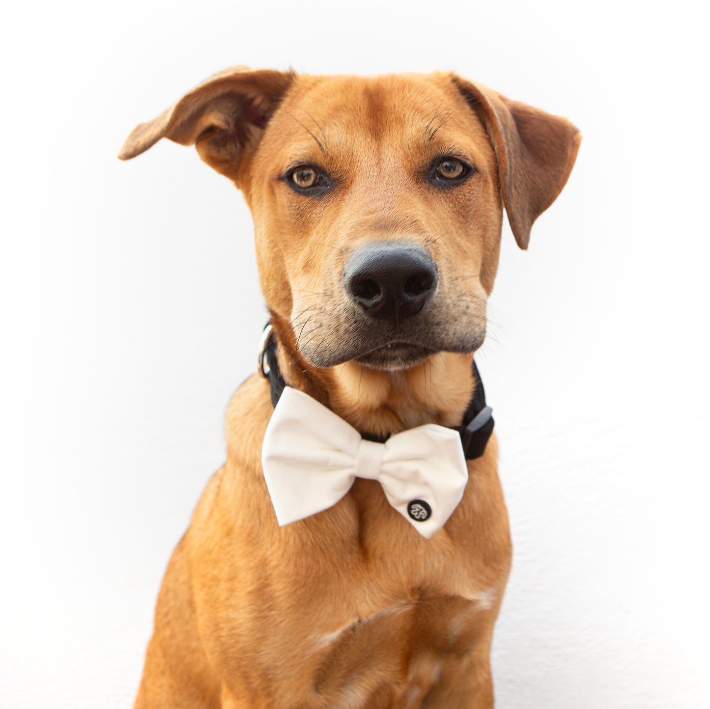 Large White Velvet Bow Tie