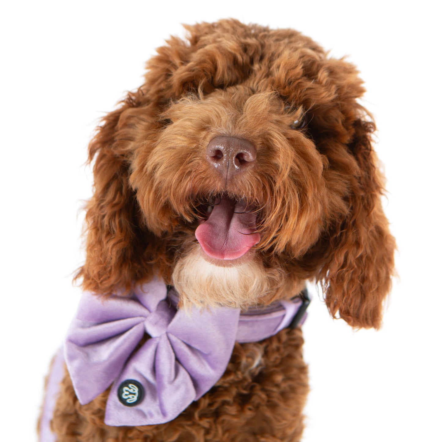Lilac Velvet Sailor Bow