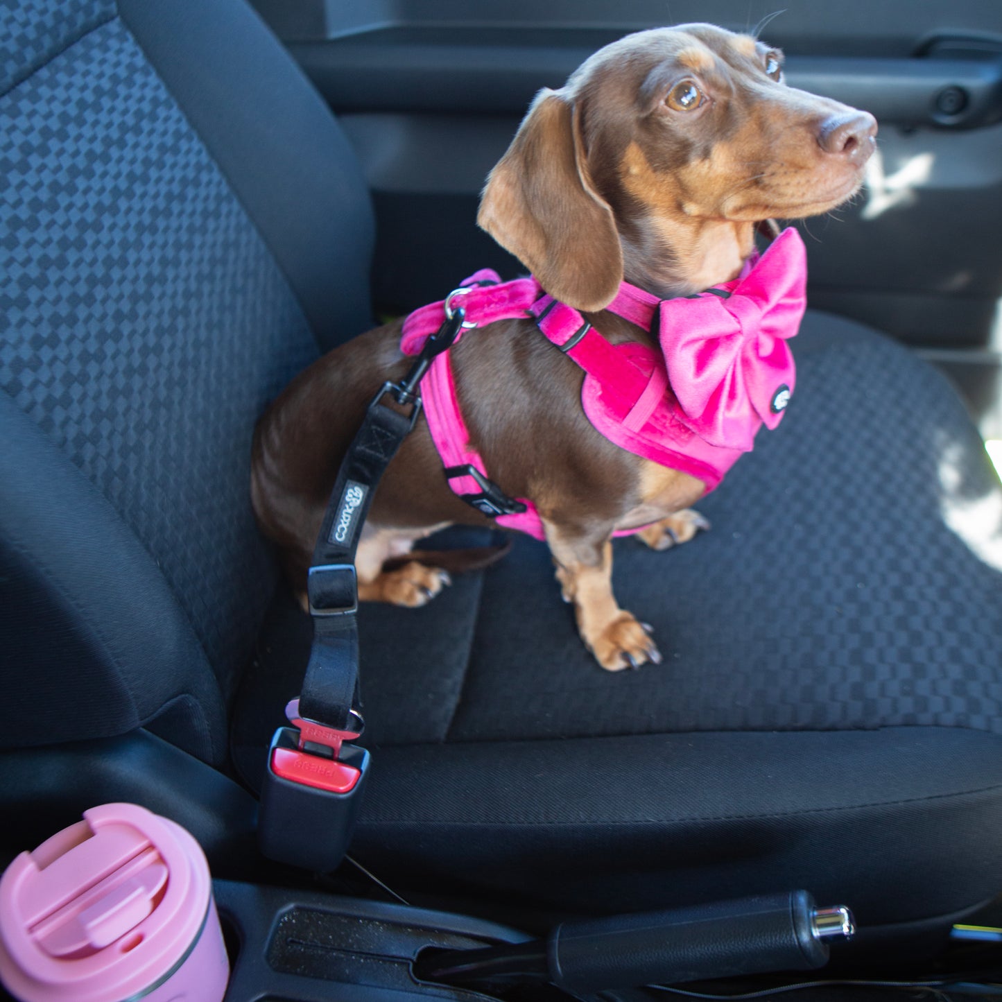 Velvet Adjustable Seat Belt Attachment - Black