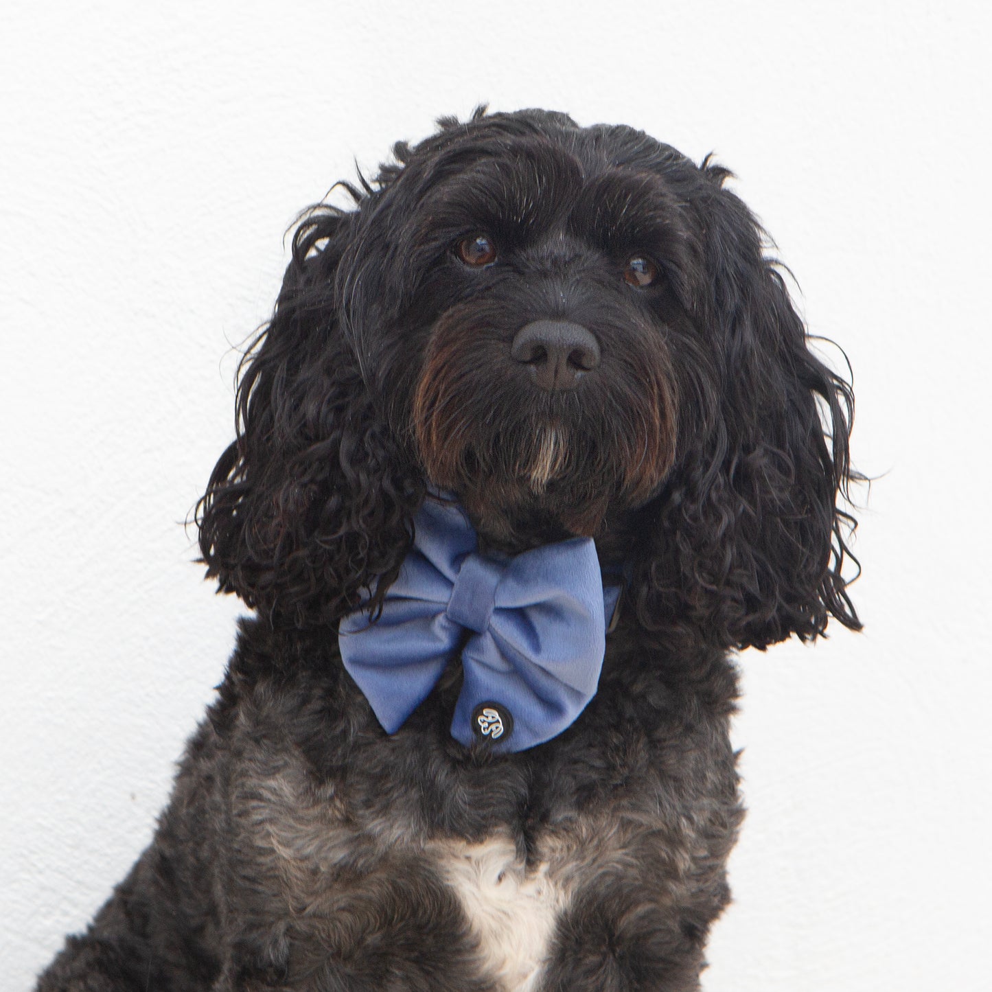 Steel Blue Velvet Sailor Bow