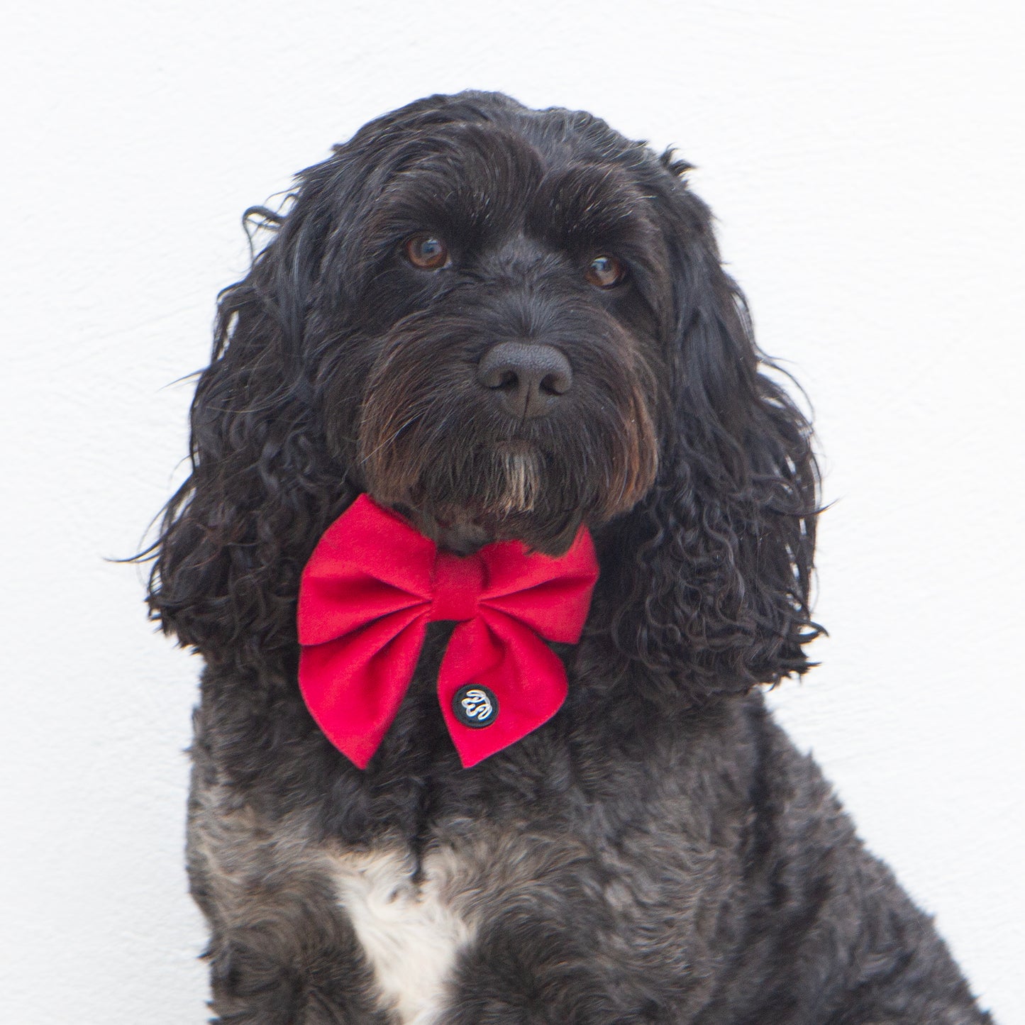 SALE! 25% OFF! Red Velvet Sailor Bow