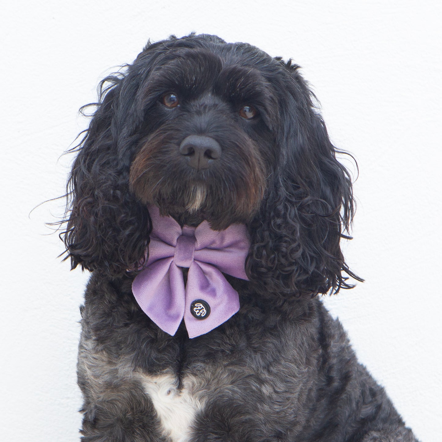 Lilac Velvet Sailor Bow