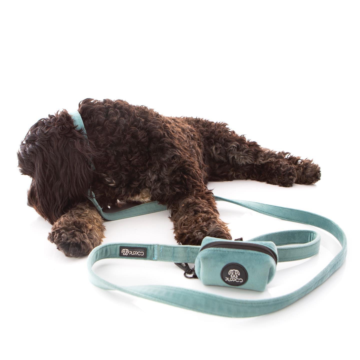 Teal Collar Bundle