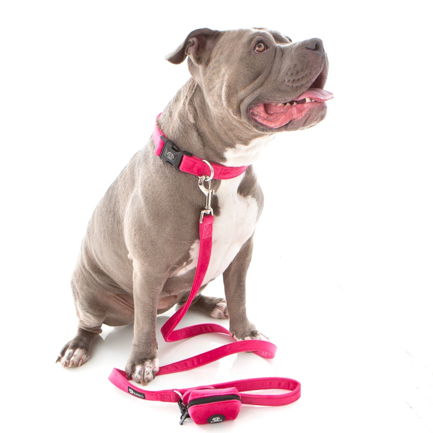 Pink Collar Bundle