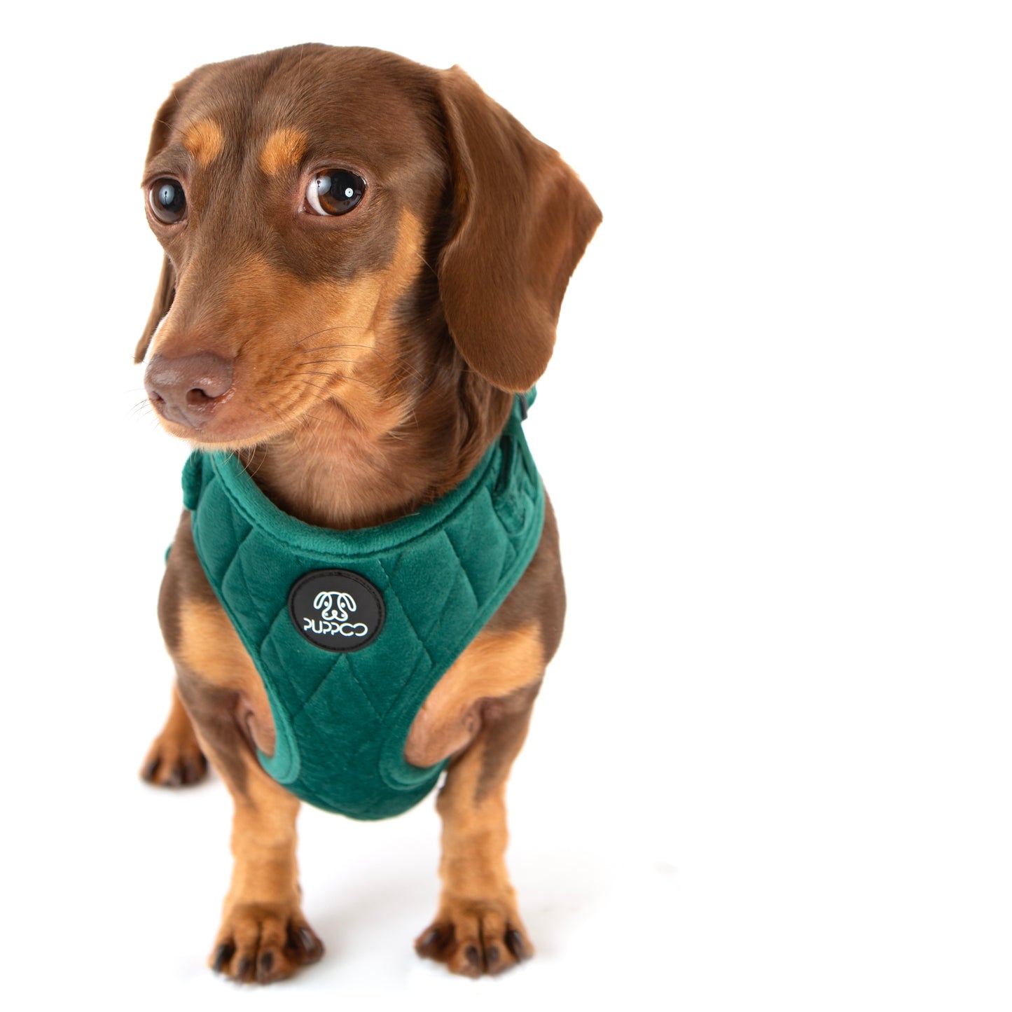 Deep Green Quilted Velvet Harness