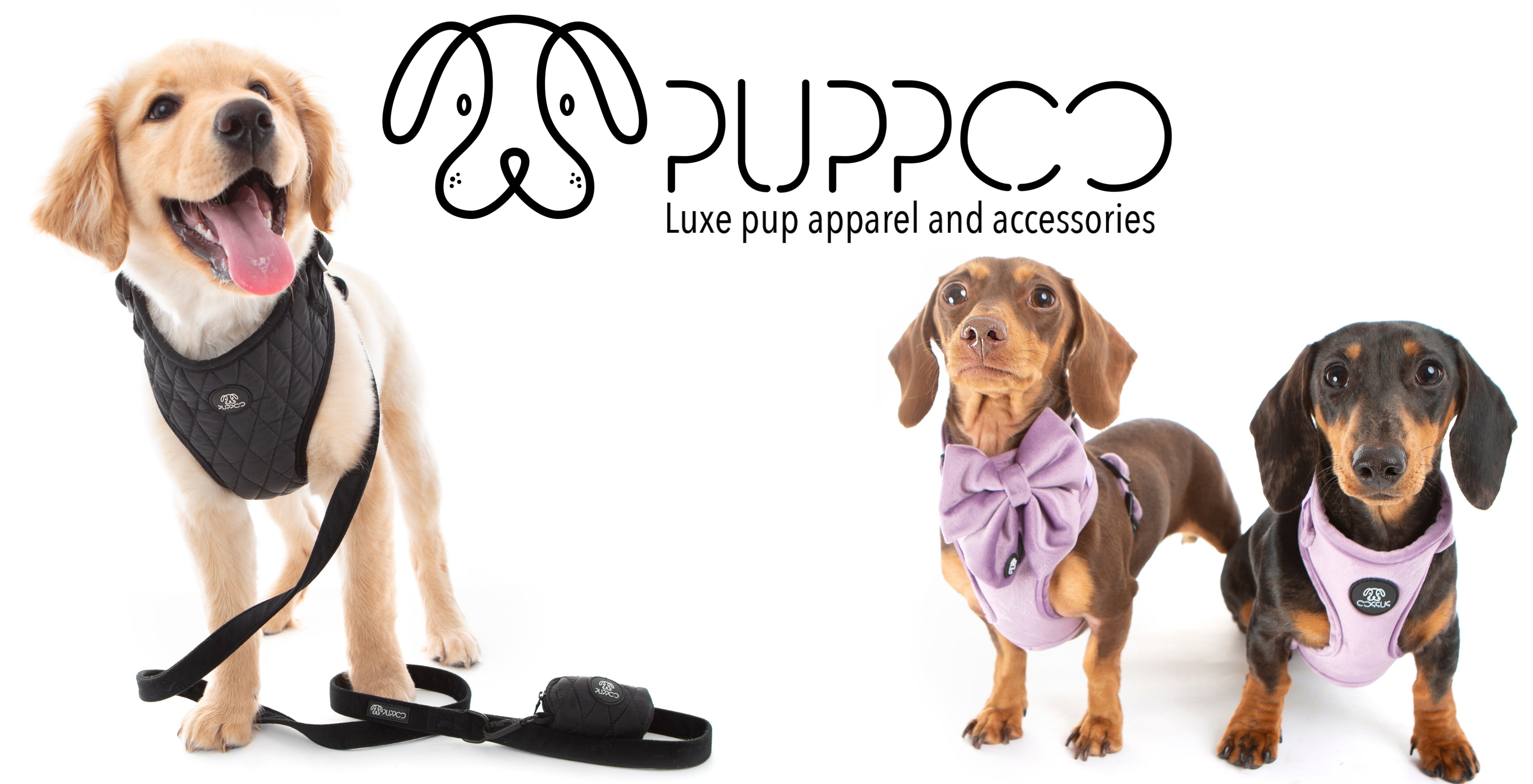 Puppies accessories online shop