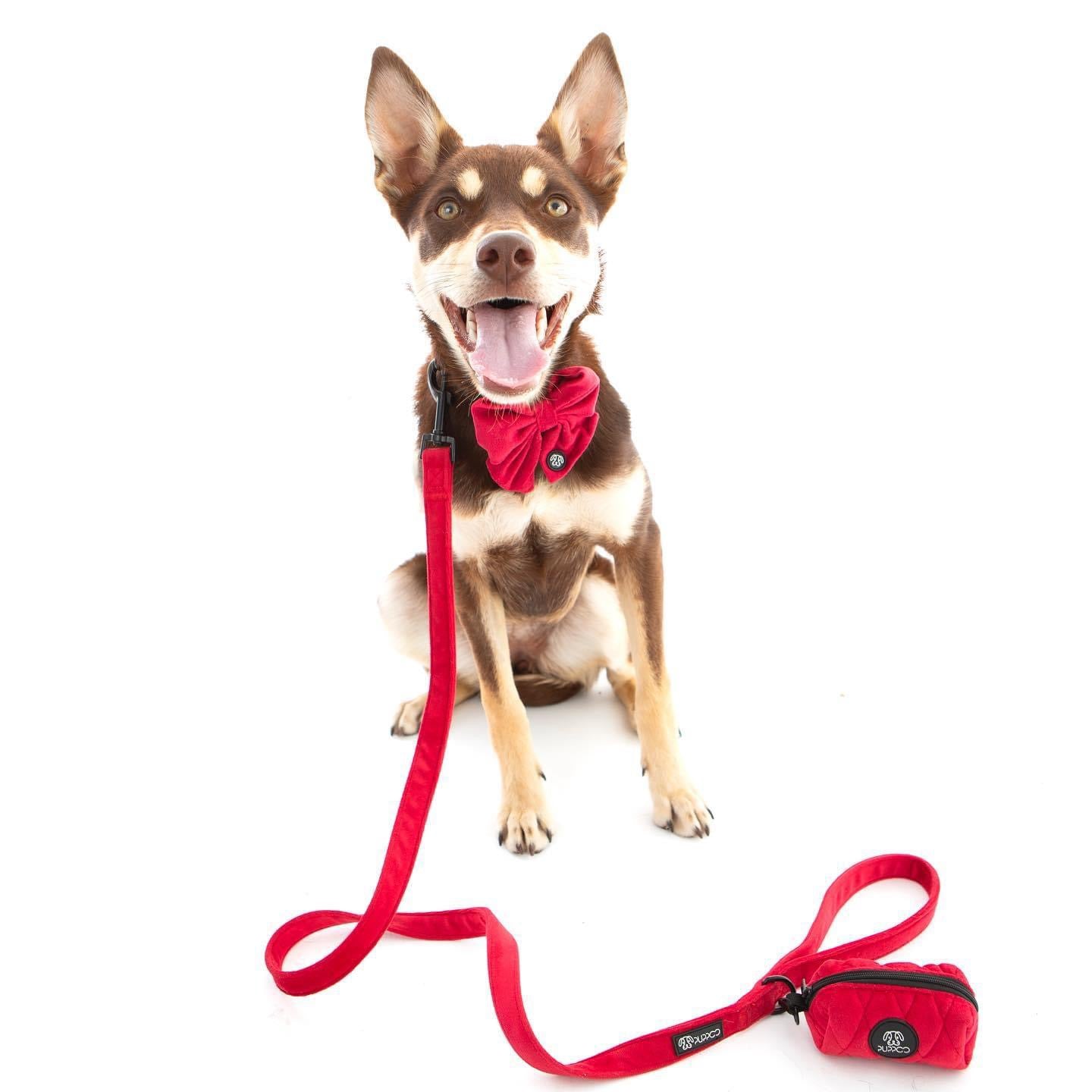 Red Collar Bundle