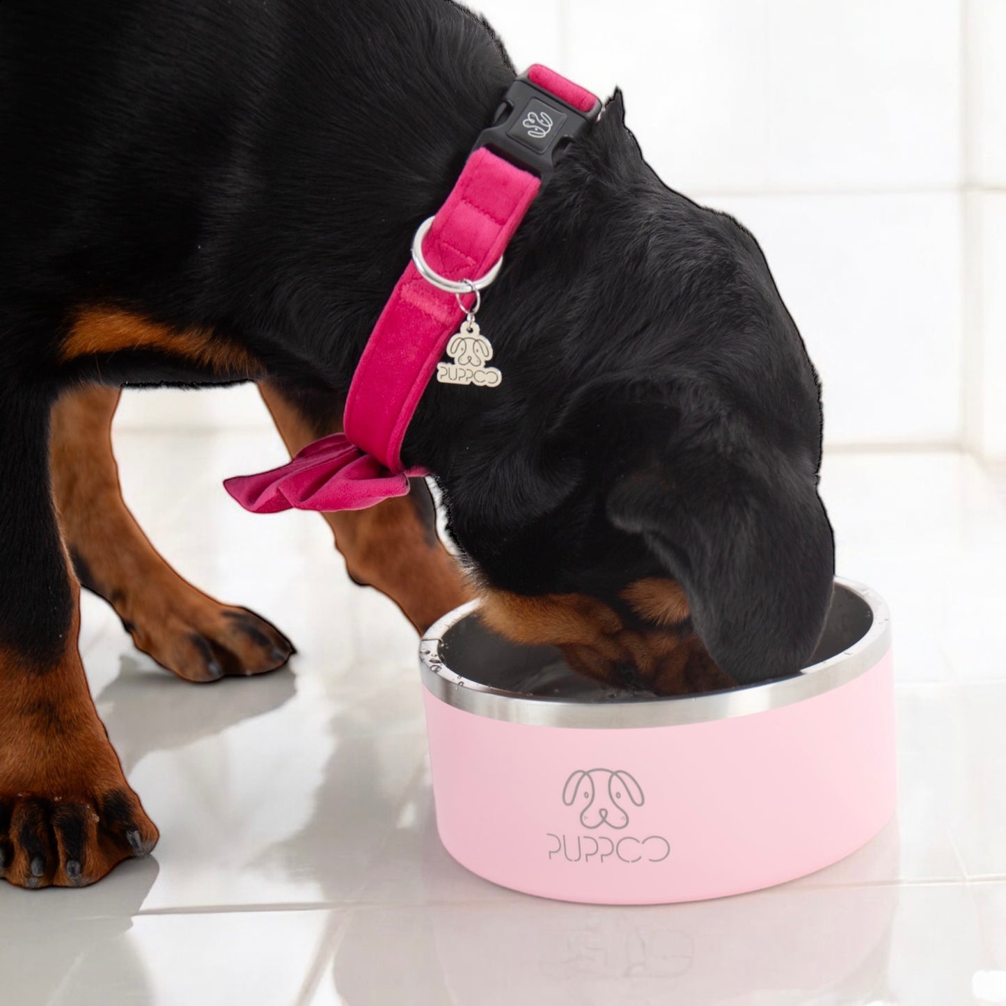 PuppCo Branded Pup Charm *LIMITED EDITION
