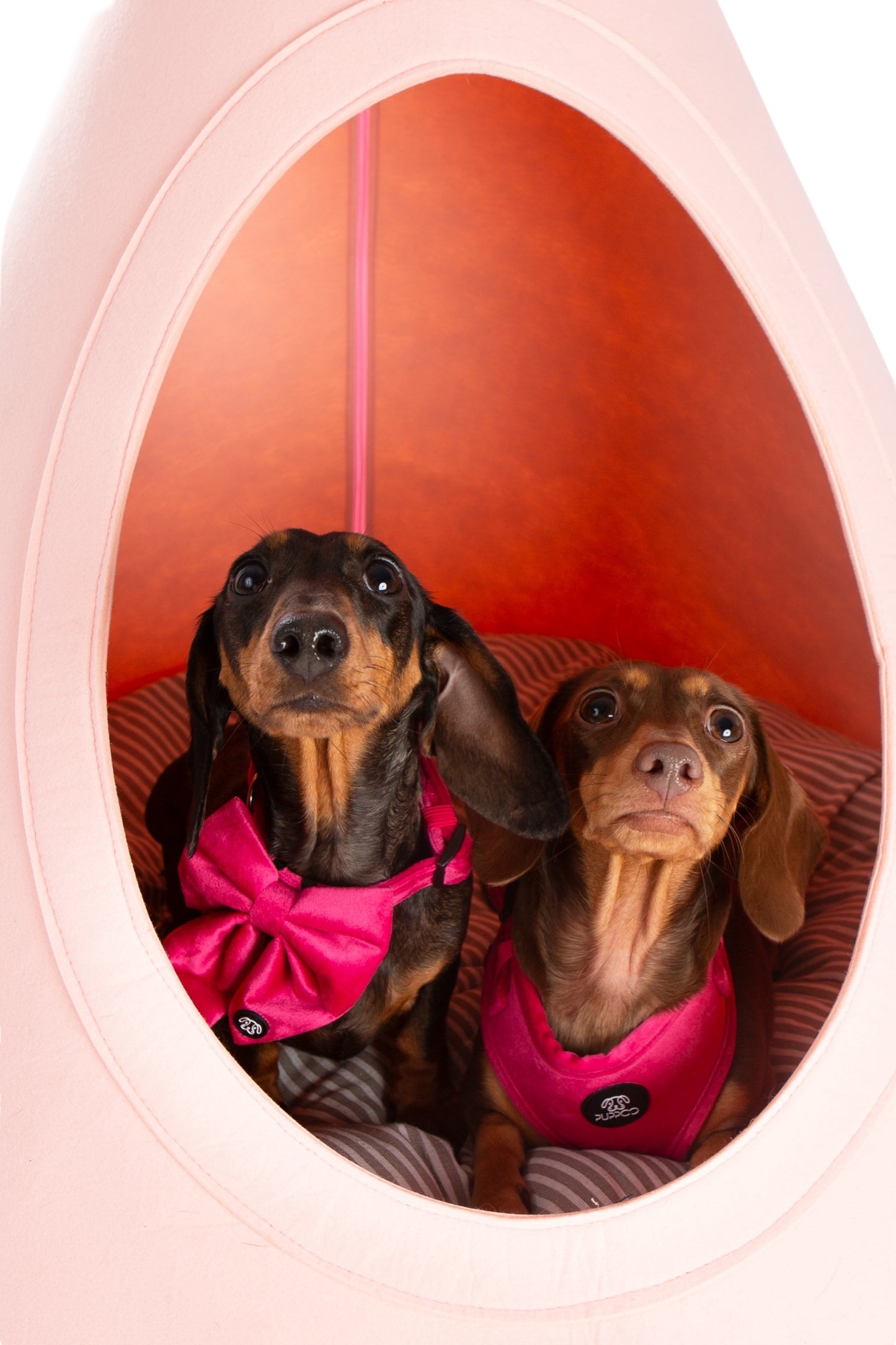 Dusty Pink PuppCo Presents Design My Digs TeePees