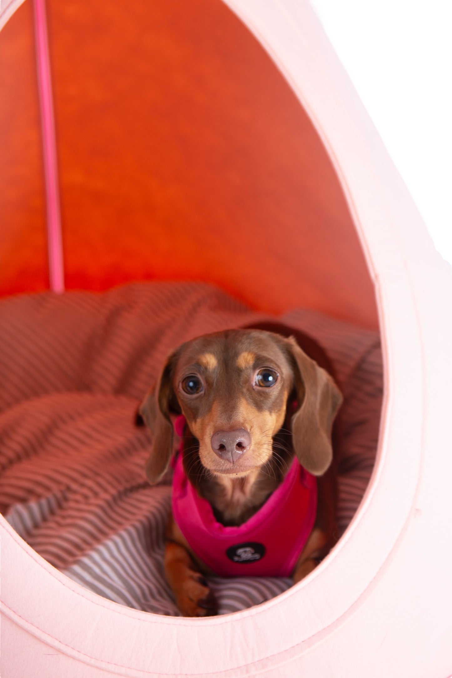 Dusty Pink PuppCo Presents Design My Digs TeePees
