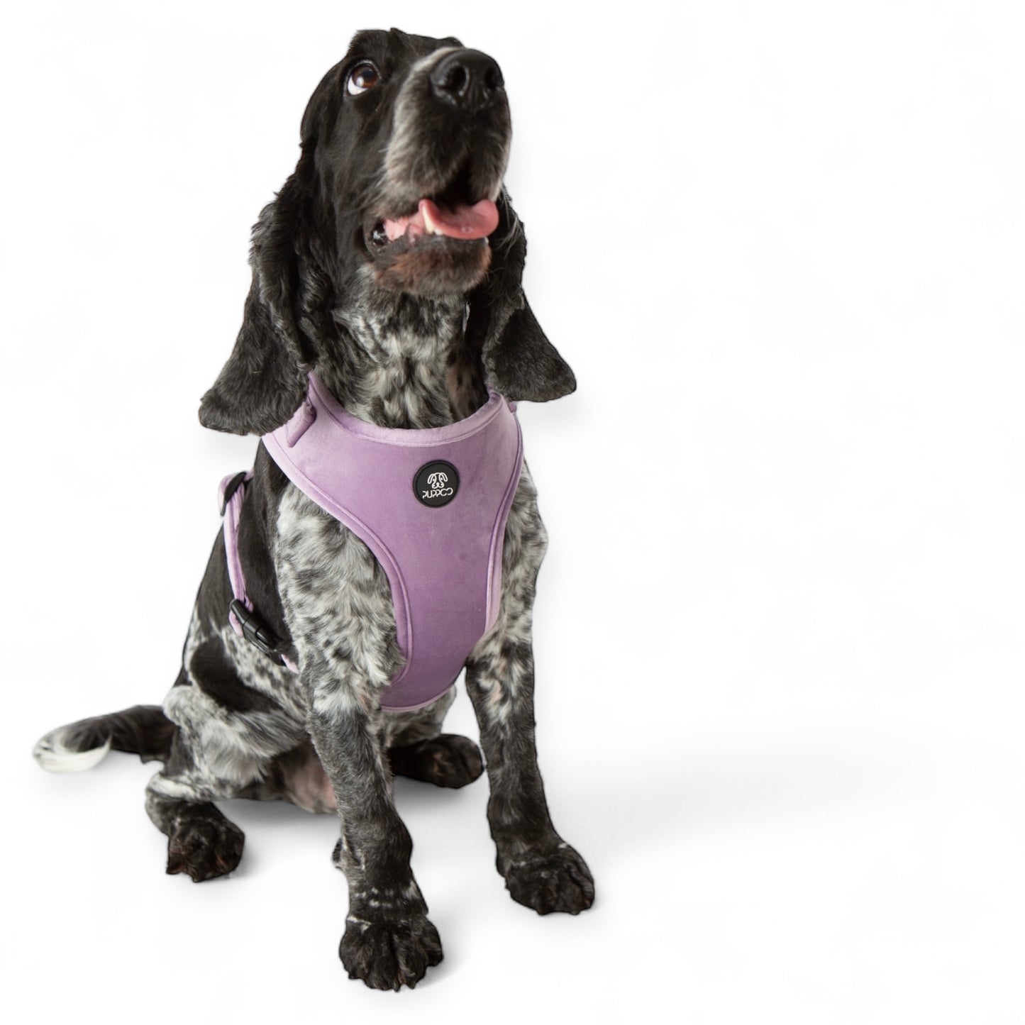Lilac Velvet Harness