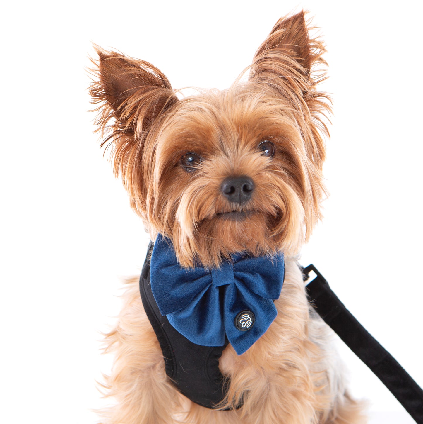Deep Blue Velvet Sailor Bow